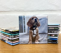 Custom Photo Magnets (Set of 9)